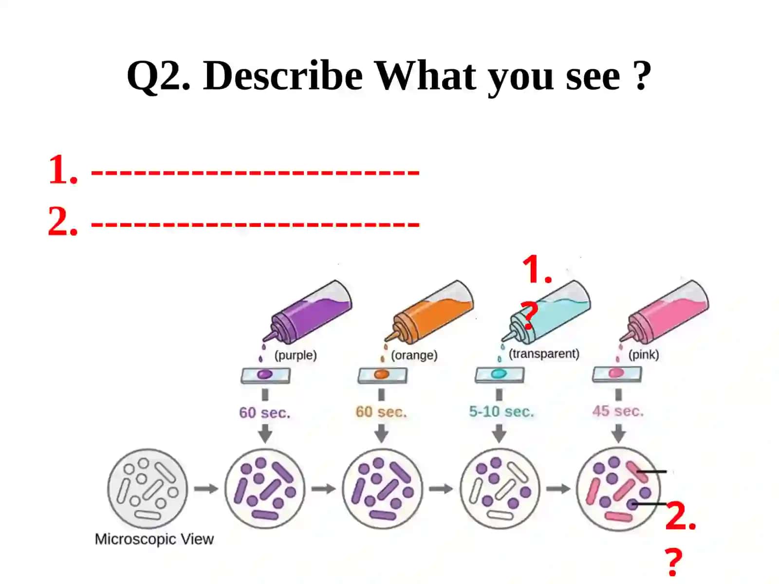 Medical Biology 3