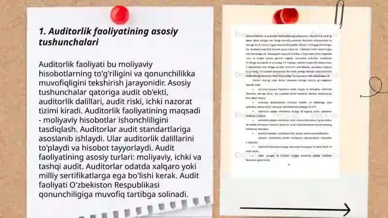 Auditorlik faoliyatining milliy standartlari 3