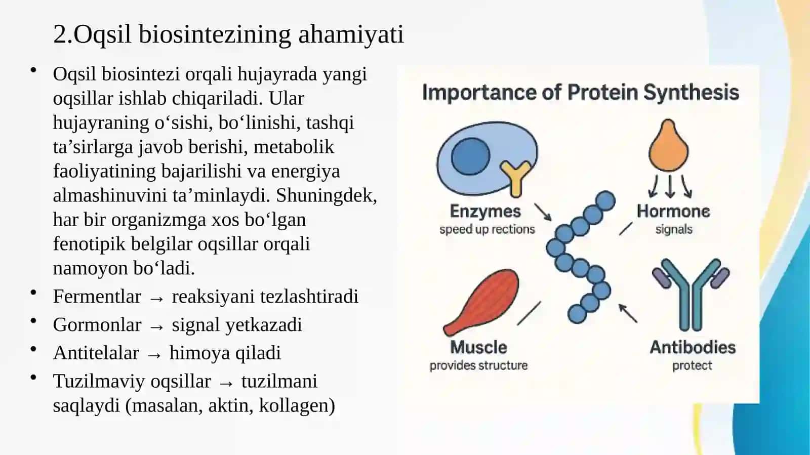 Oqsil biosintezi 3