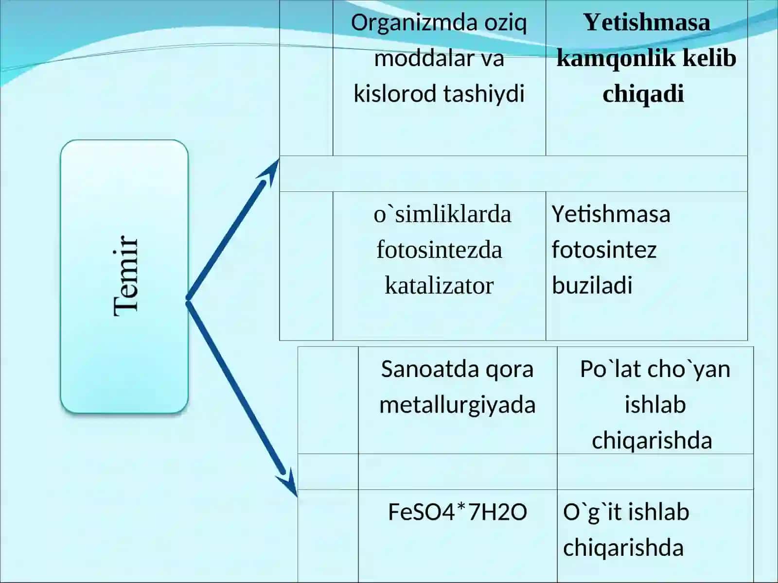 Temir va uning birikmalari ishlatilishi ahamiyati 3