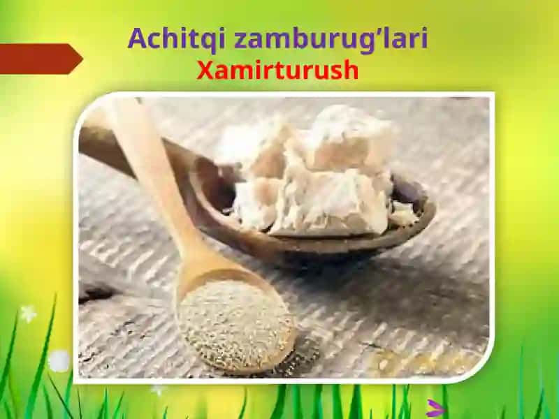 Zamburug’lar dunyosi 3