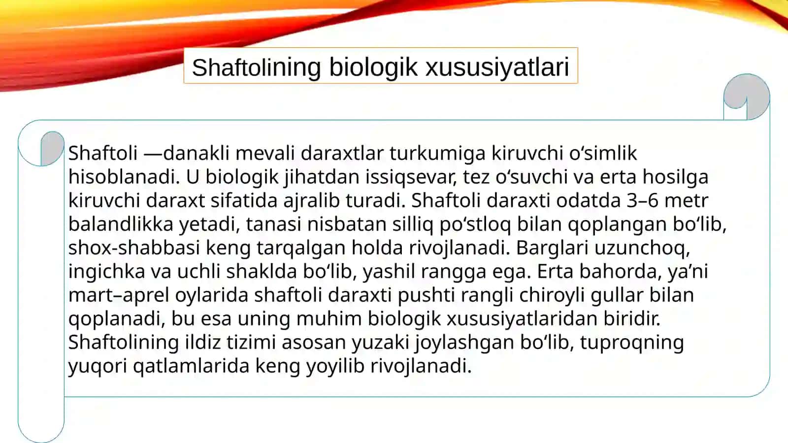 Shaftolini quritish usullari 3