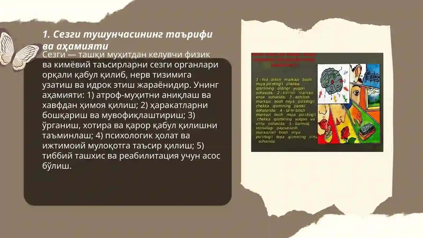 Сезги ҳақида тушунча 3