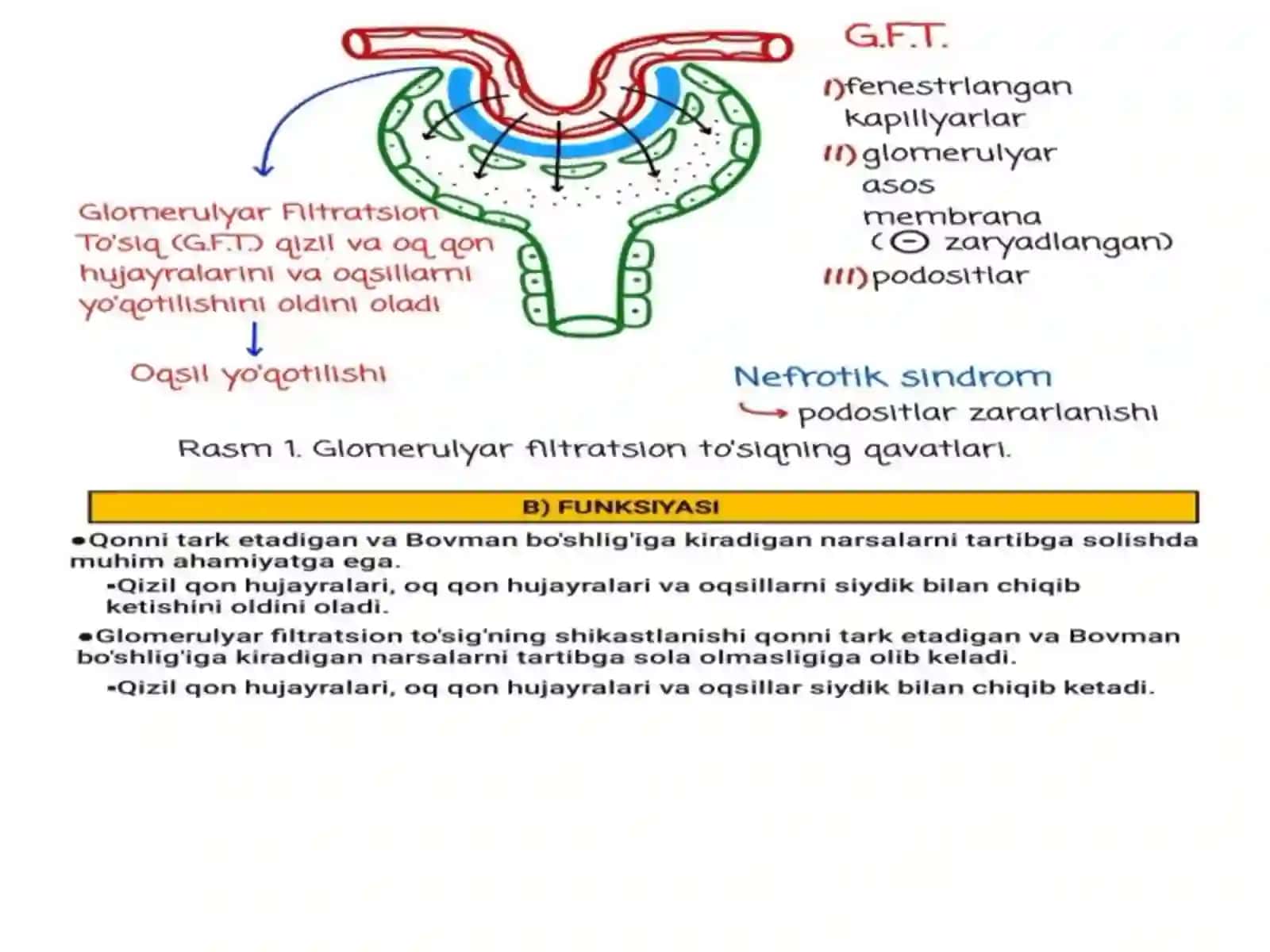 Siydik ayirish patologiyasi 3