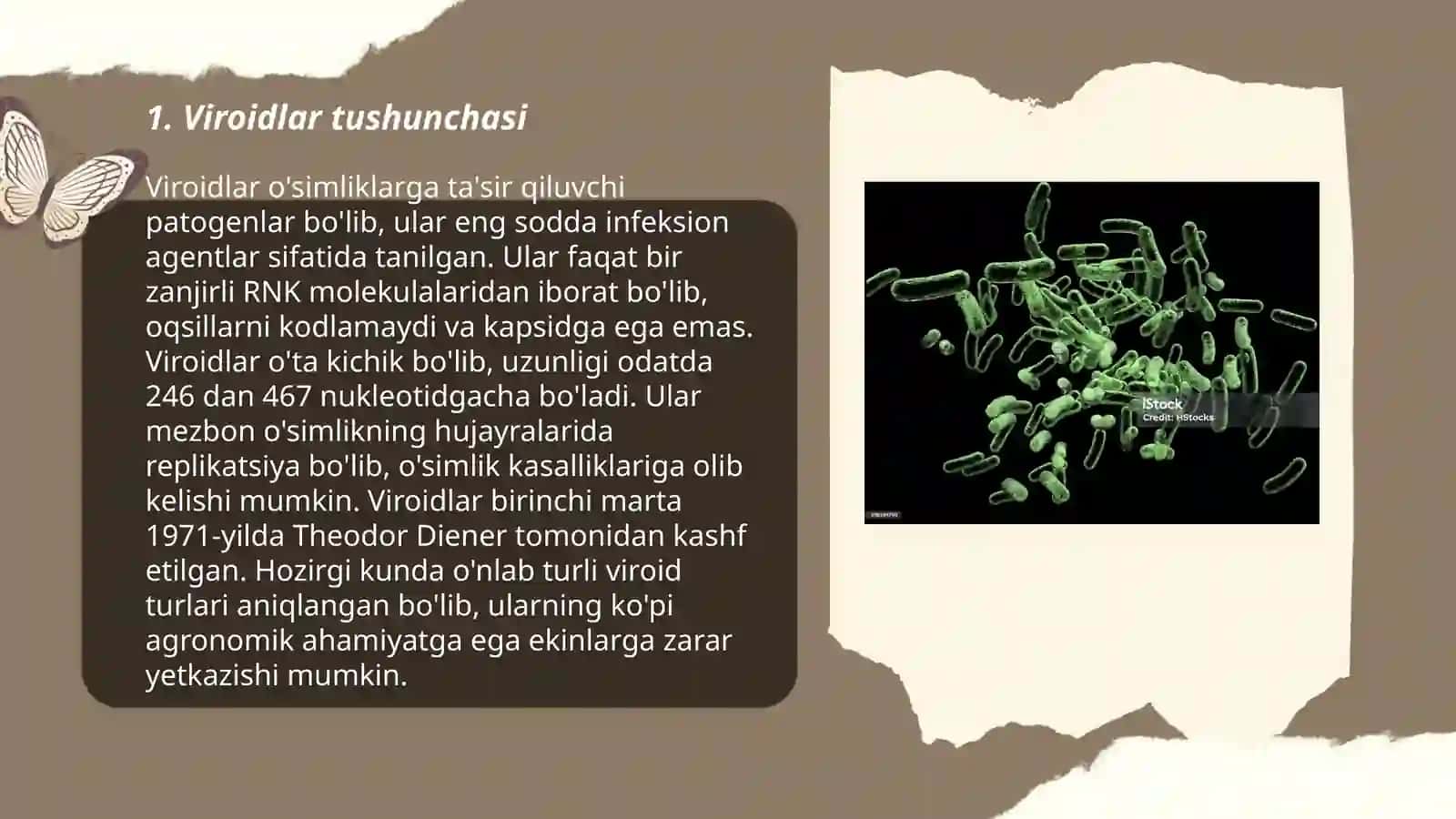 Viroidlar va ularning ahamiyati 3