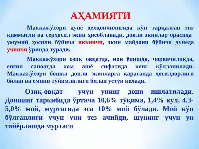 Маккажўхори ва жўхори аҳамияти, биологияси ва замонавий етиштириш технологияси 3