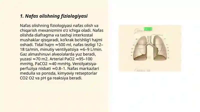 Nafas olish 3