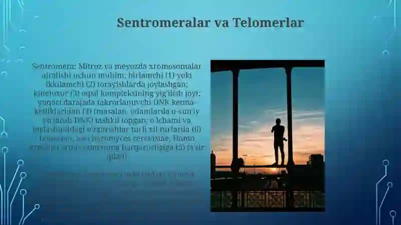 Xromosomalar tarkibi va tuzilishi 3