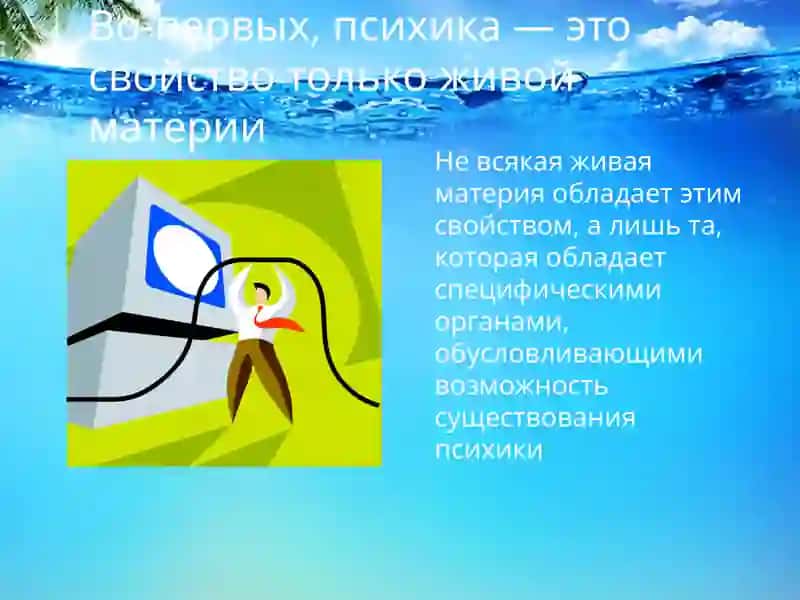 Введение в психологию: эволюционное развитие психики 3