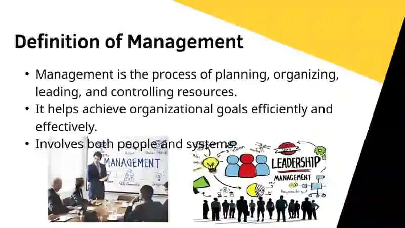 Management 3