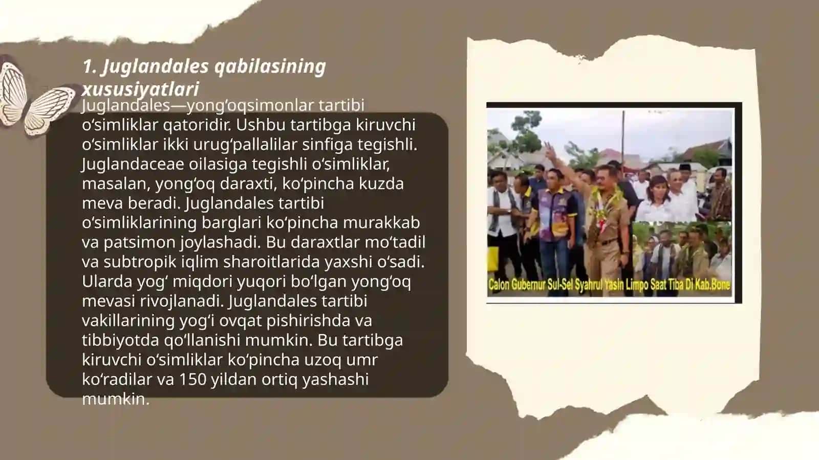 Yonğoqnomalar(junglandales) qabilasi 3