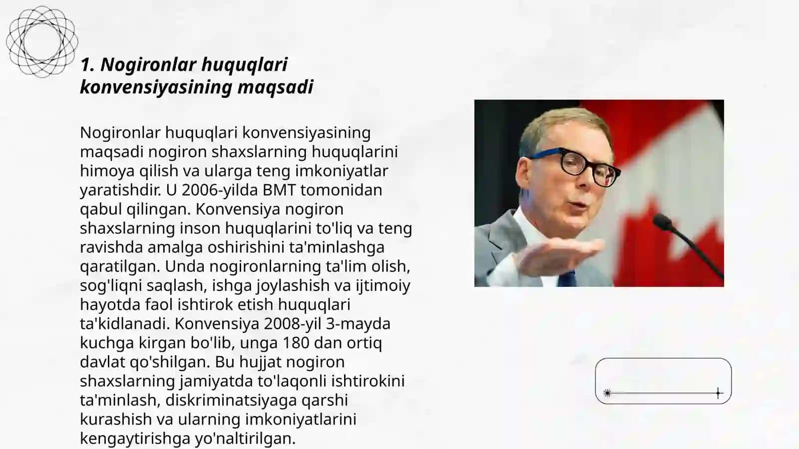 Nogironlar huquqlari toʻgʻrisidagi konvensiya 3