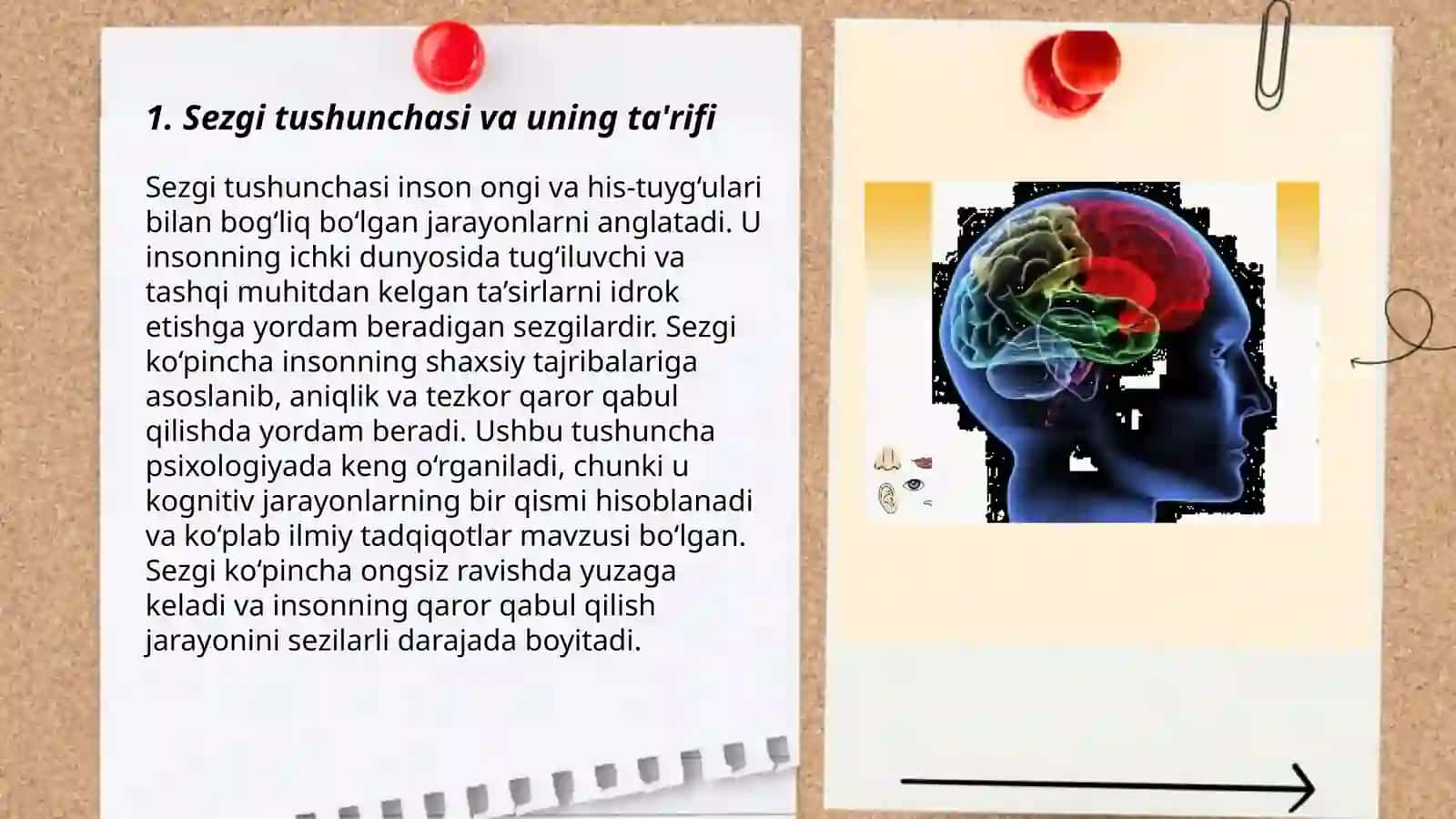SEZGI TURLARI VA UNING QONUNIYATLARI 3