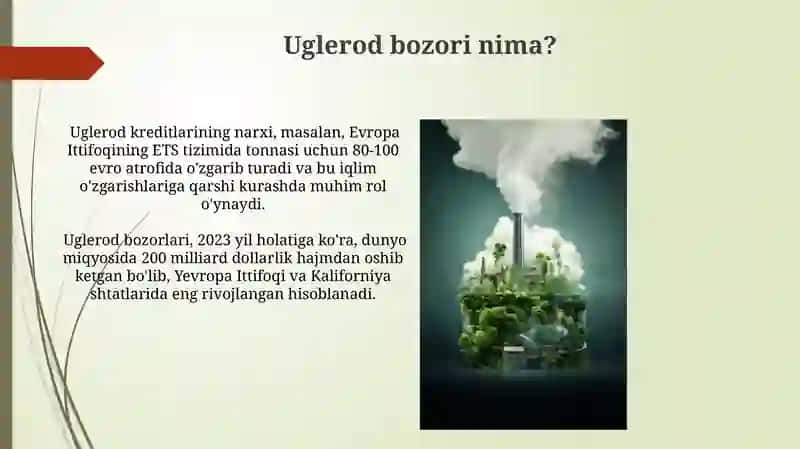 Uglerod bozori 3