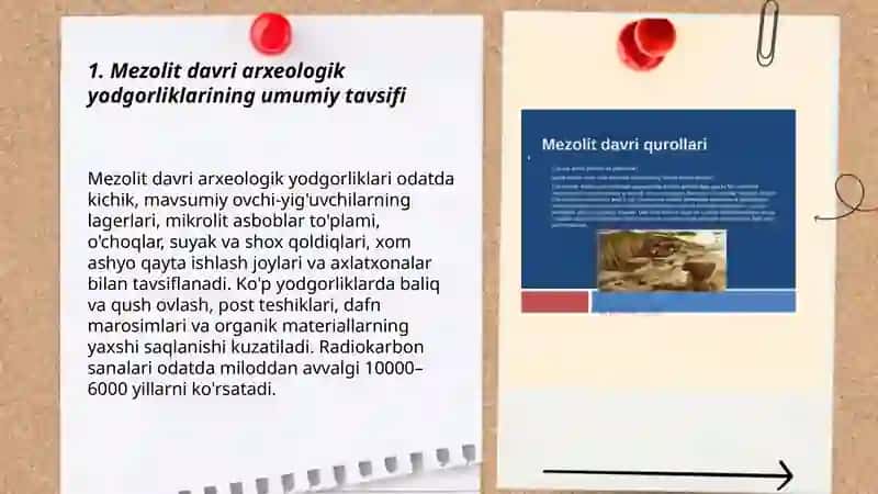 Mezolit davri arxeologik yodgorliklar 3