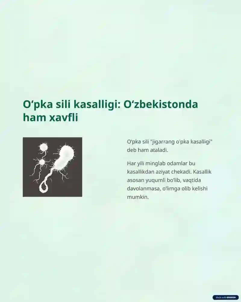 Oʻpka kasalliklari 3