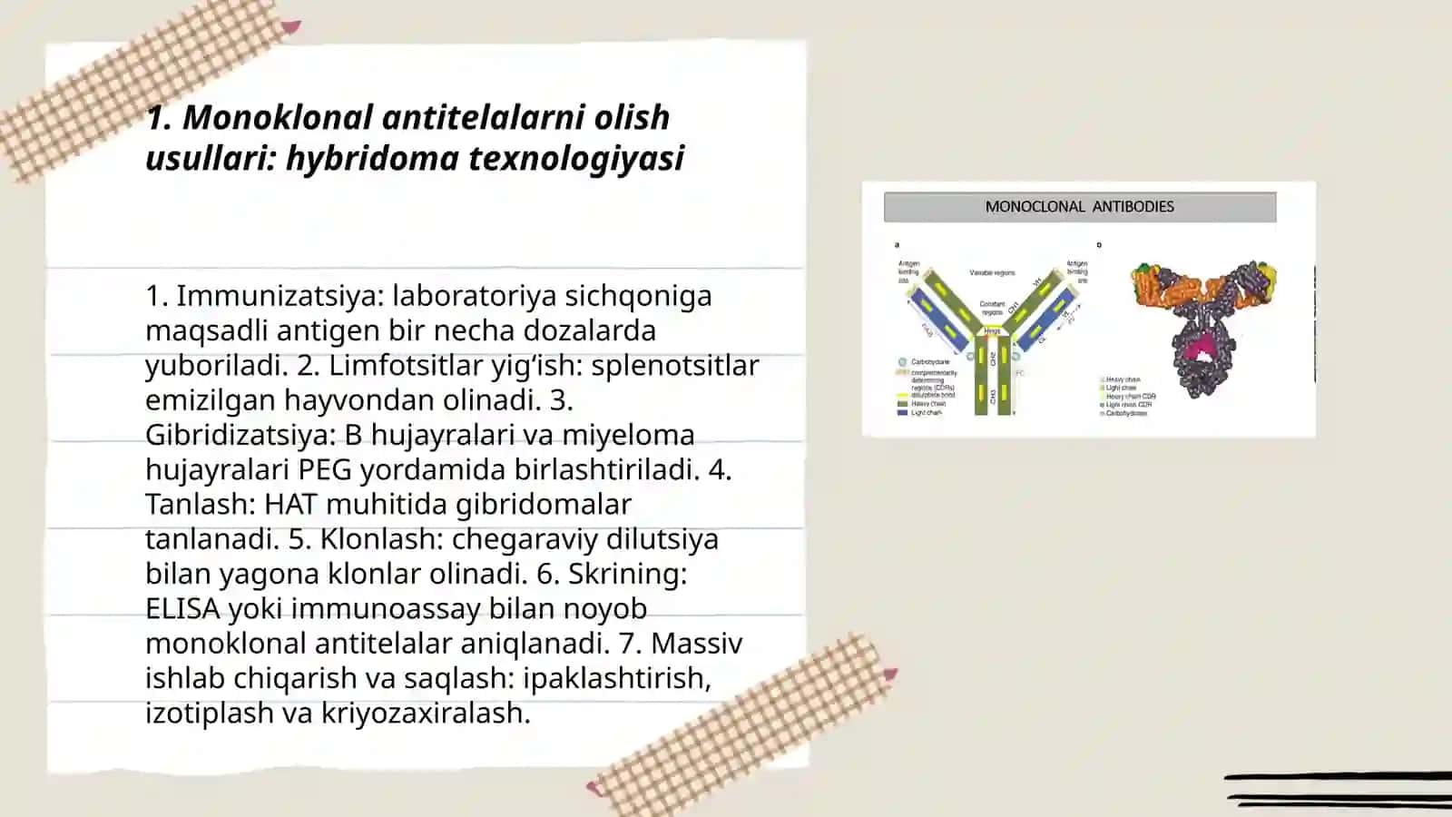 Monoklonal antitelalar 3