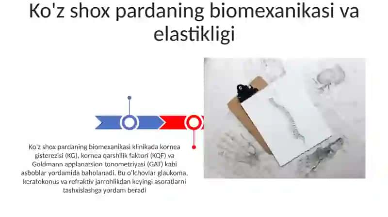 Yon qorinchalar anatomiyasi va klinikasi. 3