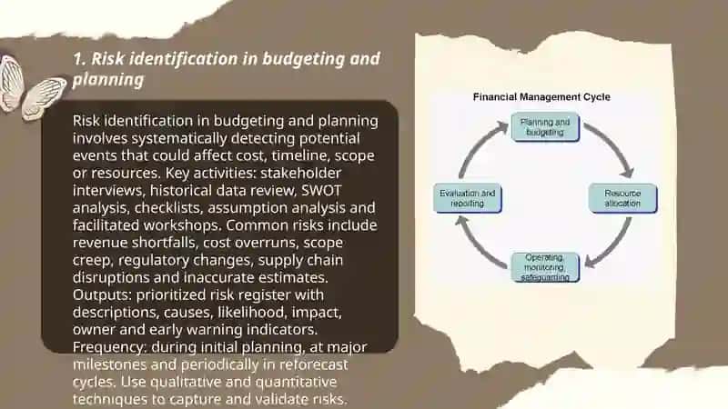 Risk Management in Budgeting and Planning 3