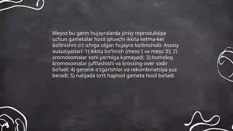 Meyoz 3