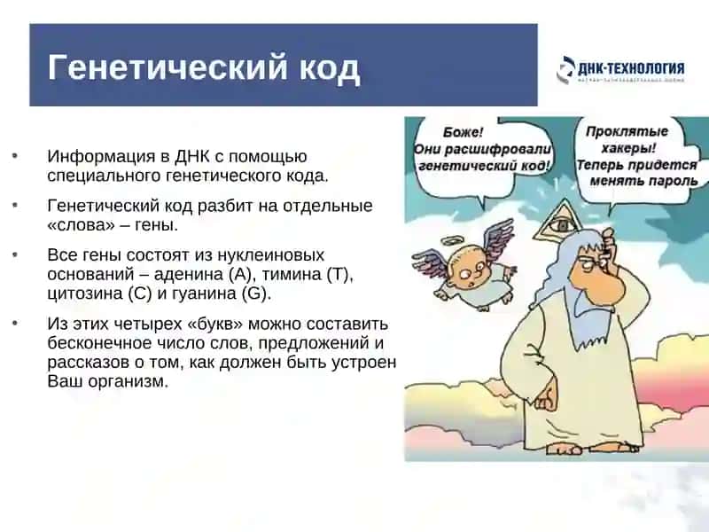 Обыкновенное чудо генетики 3