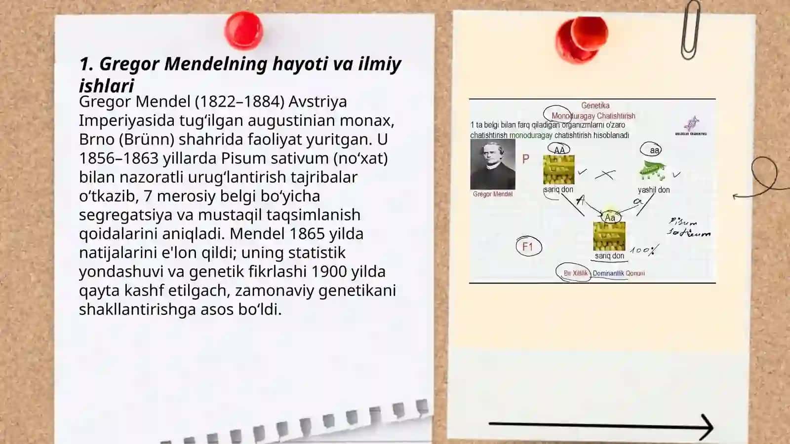 Mendel qonunlari va ularning zamonaviy talqini 3
