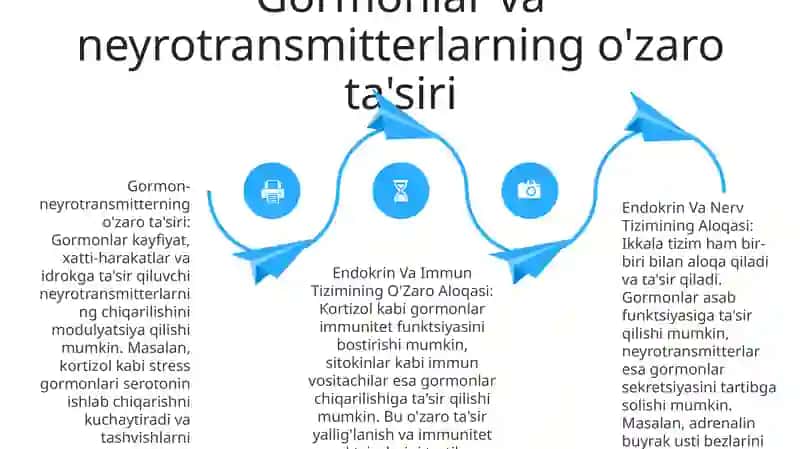 Endokrin va asab tizimlari: umumiy ko'rinish 3