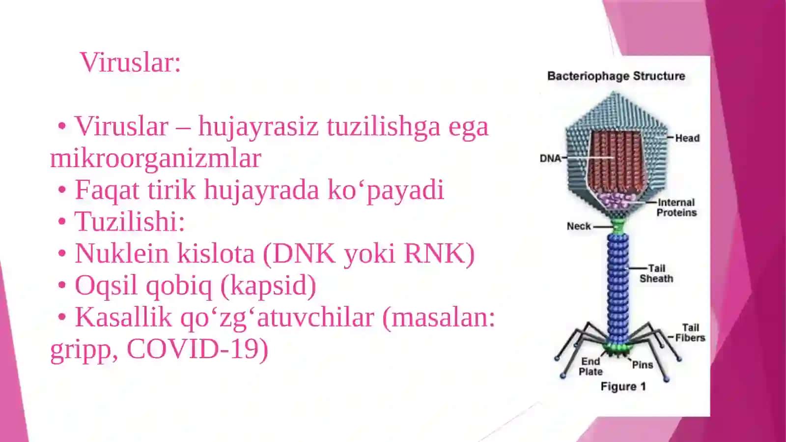 Mikroskop 3