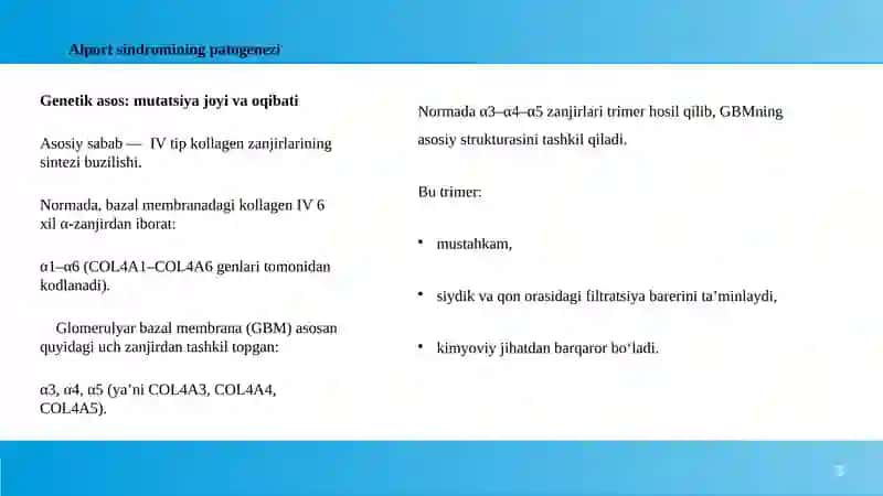 Alport sindromi 3
