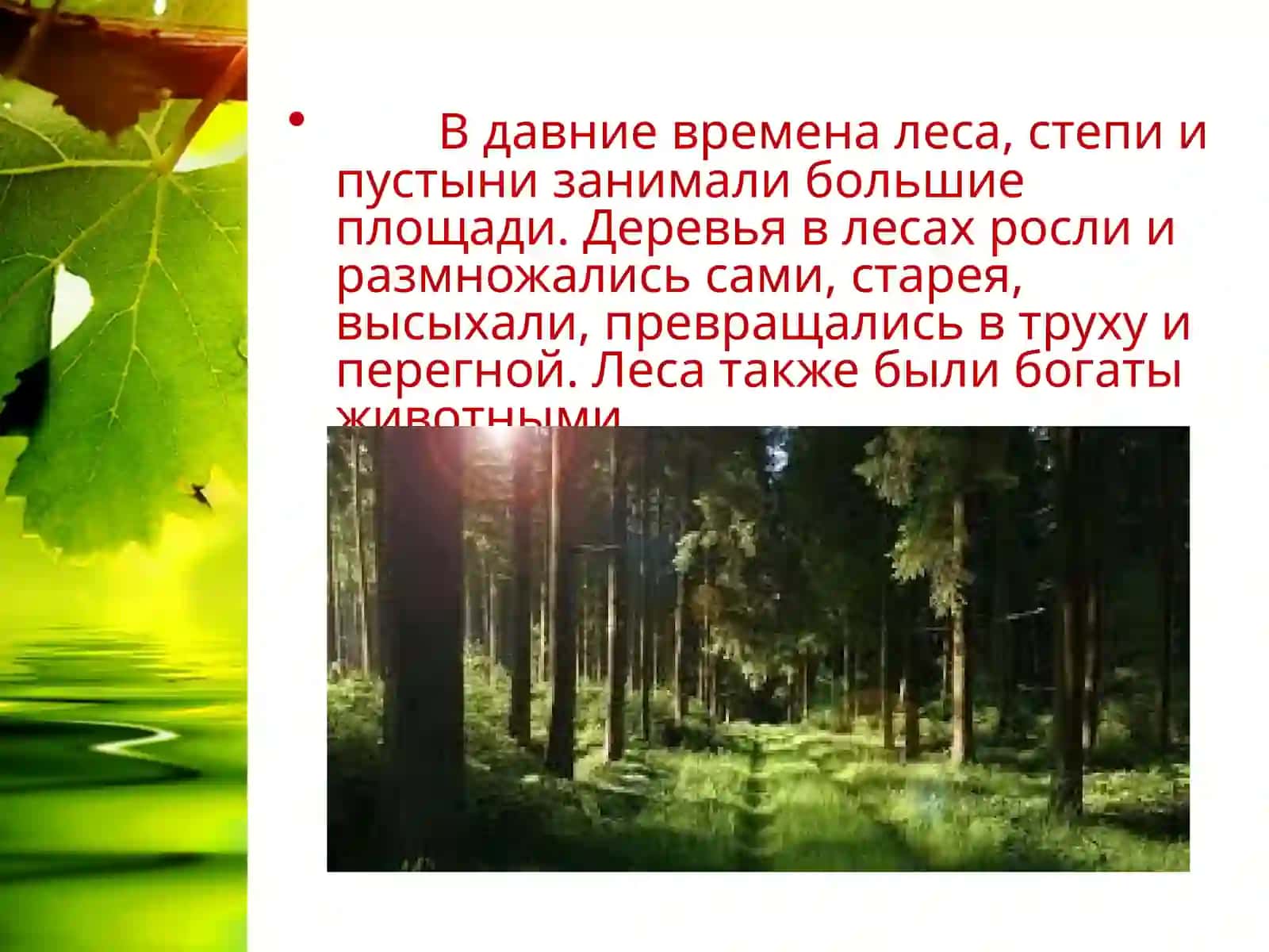 Воздействие человека на природу 3
