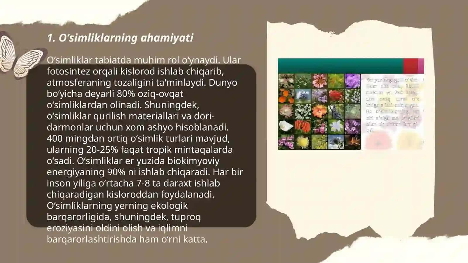 Boshlangʻich taʼlimda oʻsimliklar olami 3