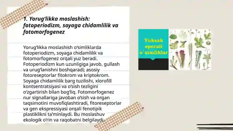 O‘simliklar Ekologiyasi 3