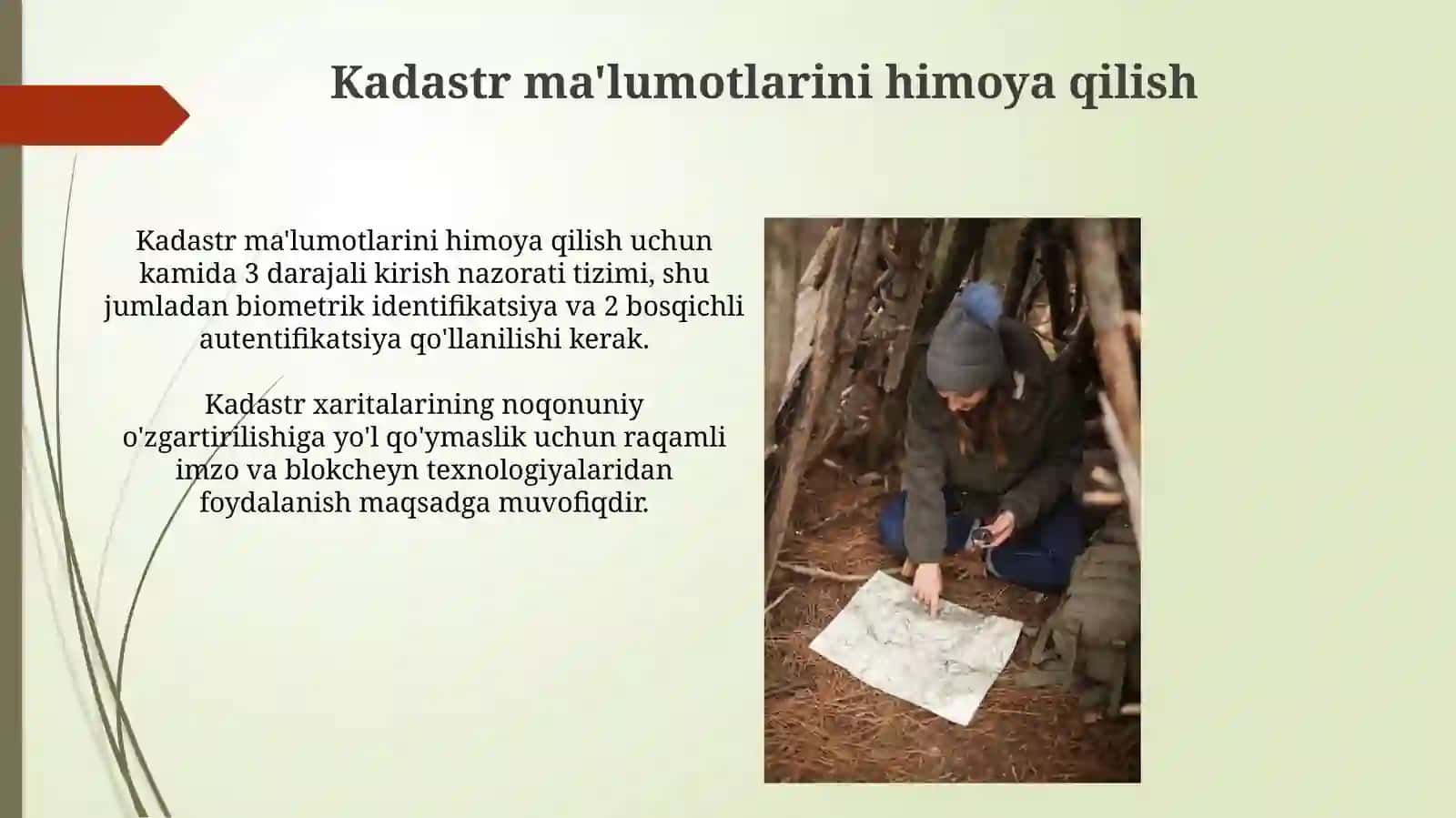 Davlat oʻrmon kadastrini yuritish 3