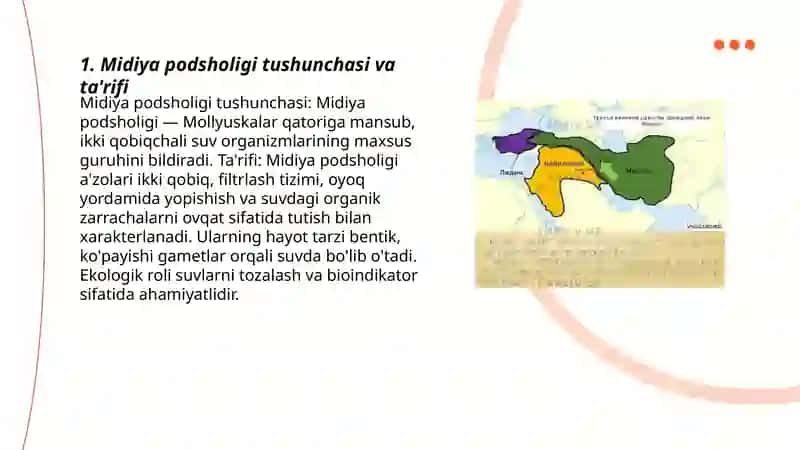 Midiya podsholigi 3