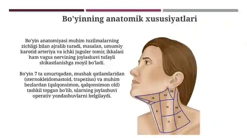 Boʻyin sohasining operativ jarrohligi 3
