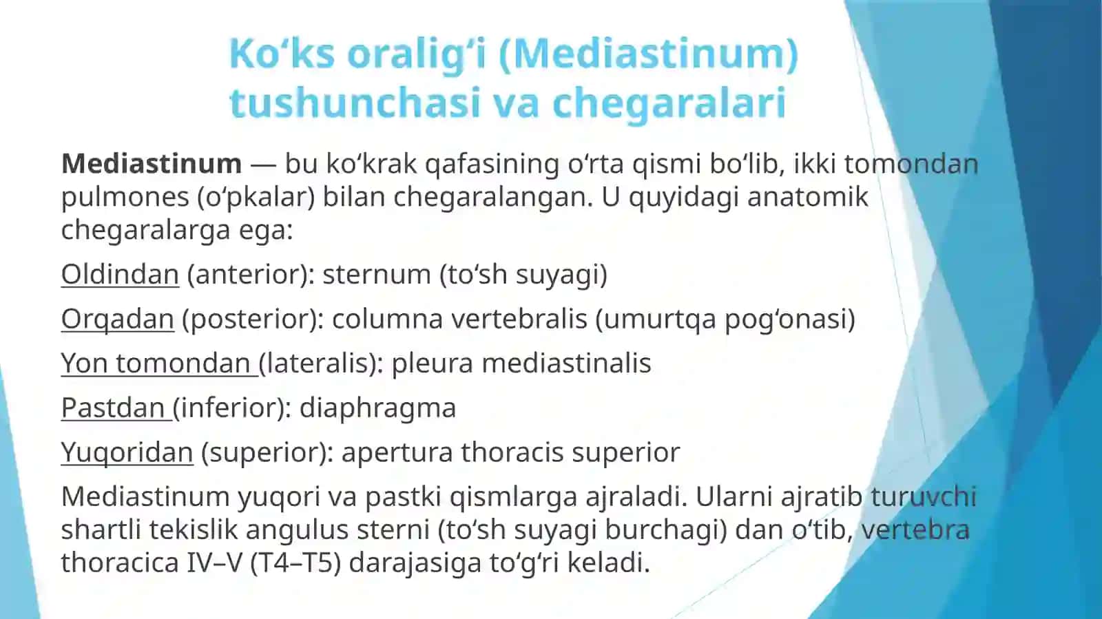 Ko’ks oralig’i va uning a’zolari 3