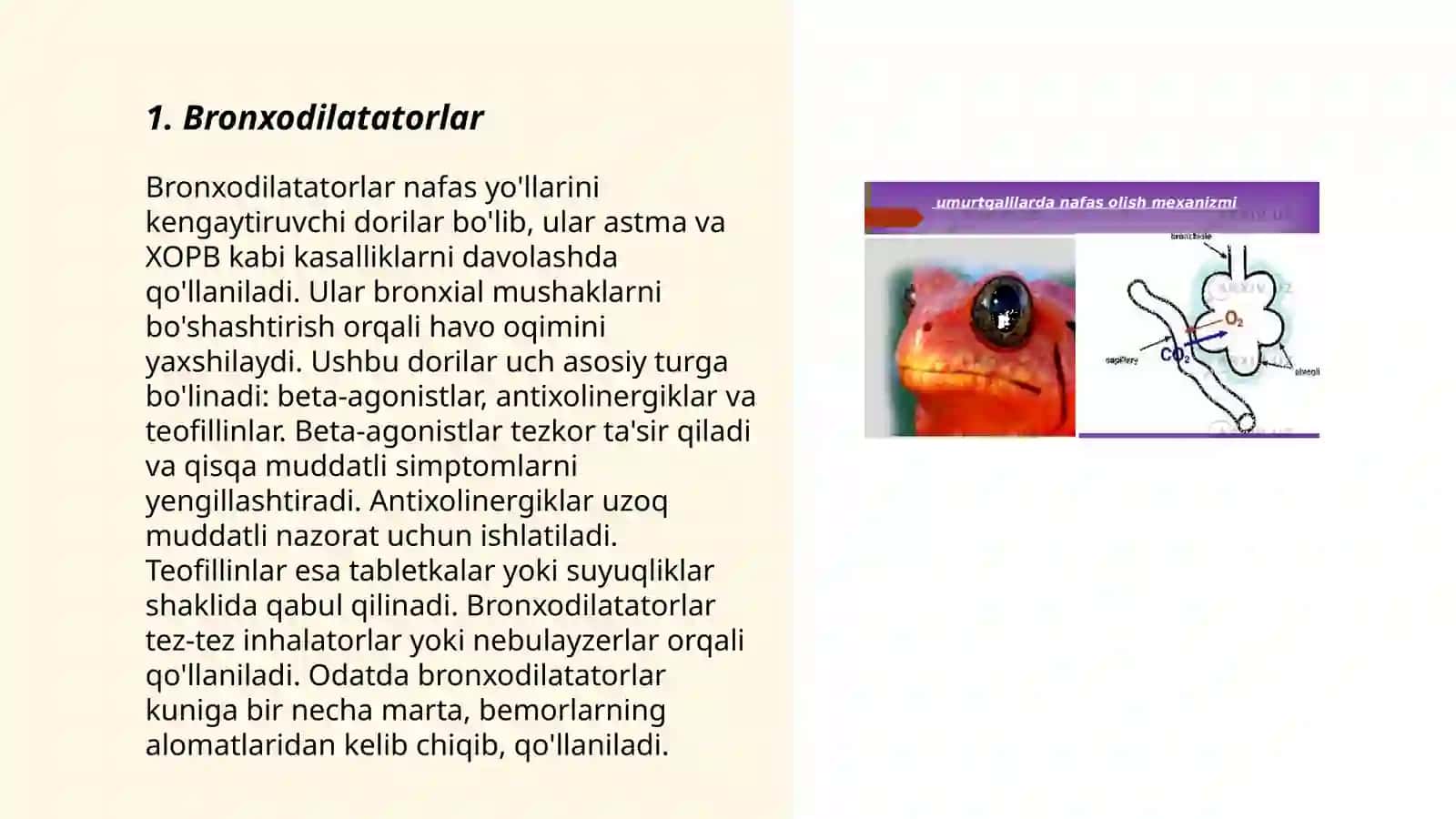 Nafas Organlari Faoliyatiga Ta'sir Qiladigan Vositalar 3