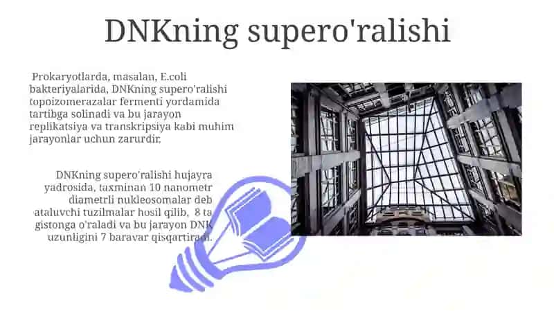 Nuklein kislotalarning tuzilishi 3