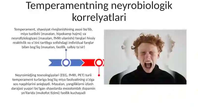 Temperament Psixobiologik Asos 3