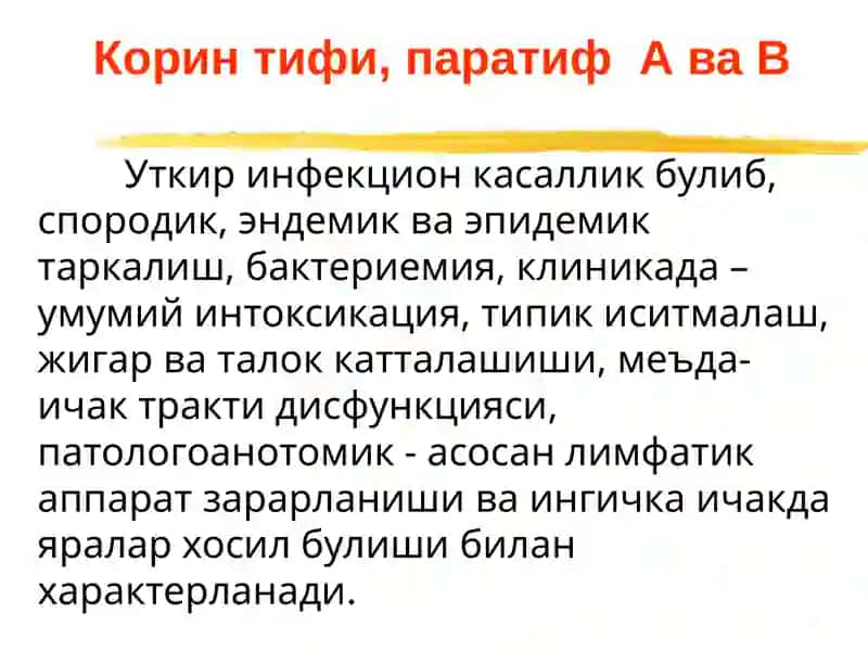 Ич терлама –қорин тифи (typhus abdominalis) 3