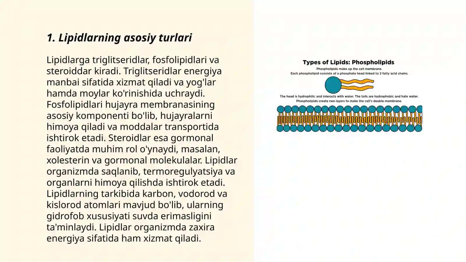 O'simliklarda lipidlar 3