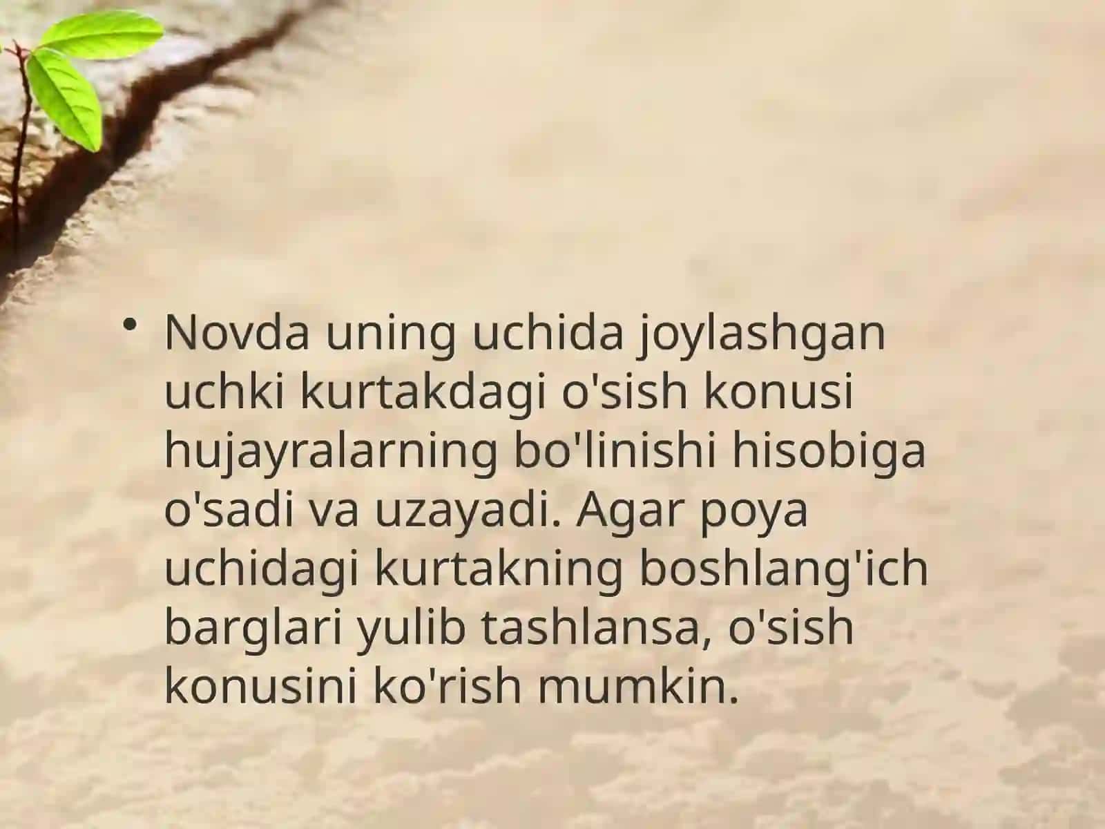 6-sinf Botanika Novda tizimimg shakllanishi 3