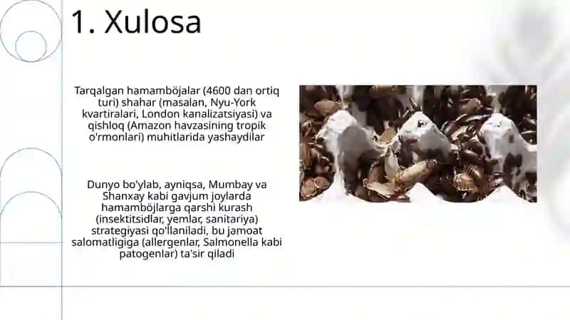 Suvaraklar turkumi (Blattoptera) 3