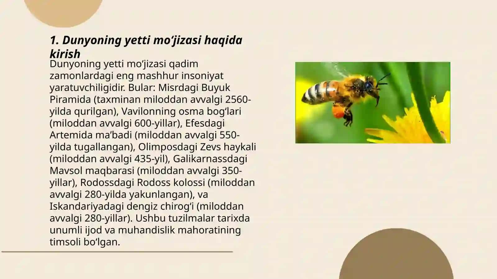 Dunyoning 7 mõjizasi asal ari 3