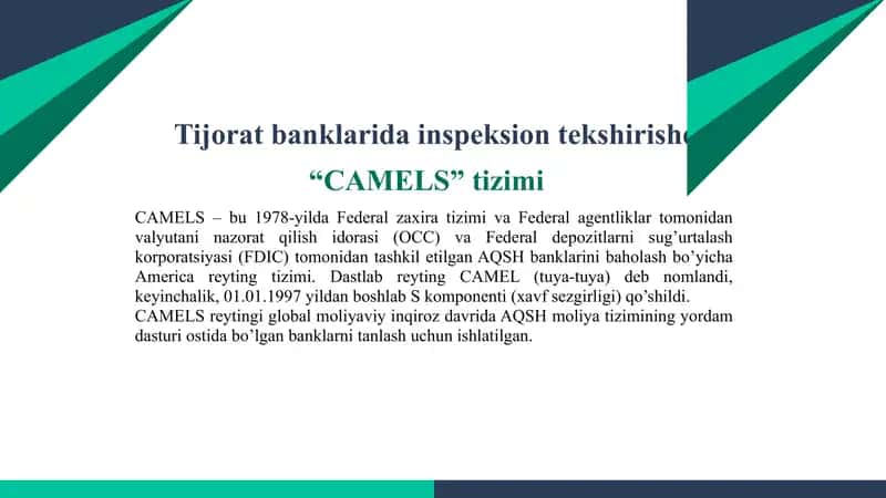 Camel tizimi va uning qo’llanilishi 3