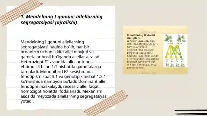 Mendel 1 2 qonuni 3