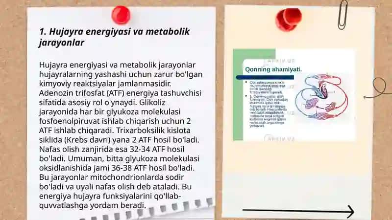 Hujayra energiyasi va metabolik jarayonlar 3
