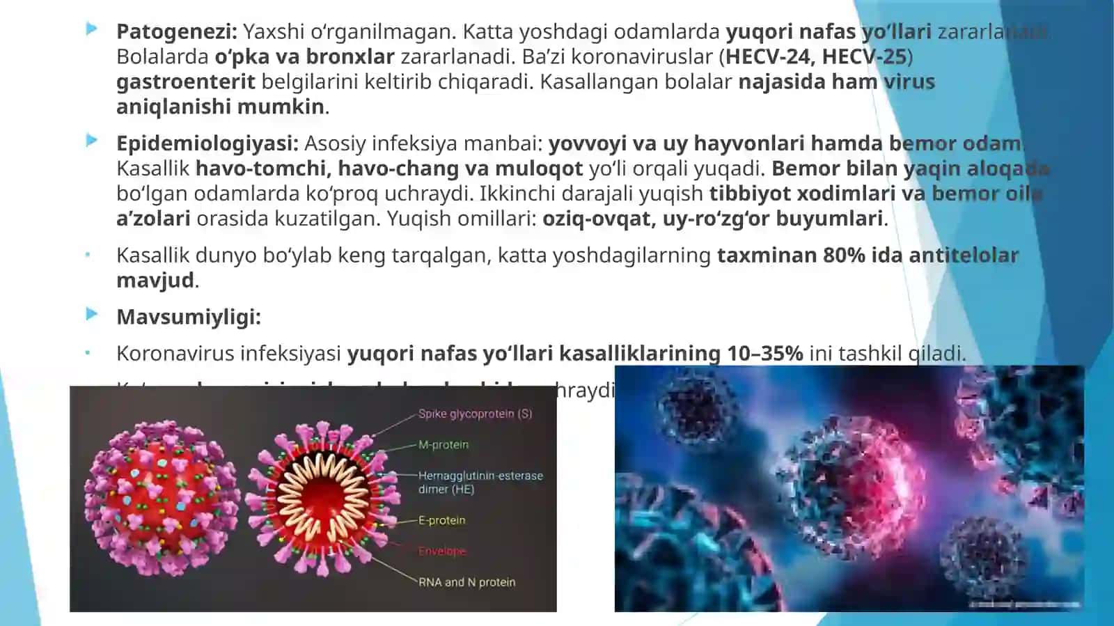 Virusli infeksiyalar 3