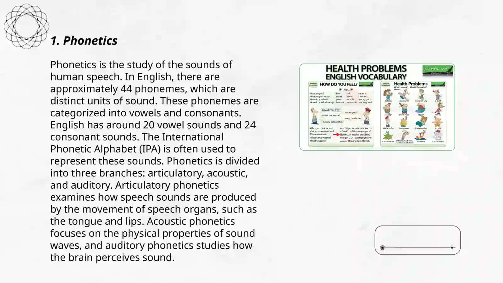 Vocabulary system of the English language 3