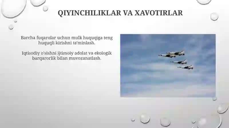 Iqtisodiy Islohotlar va Xususiy Mulkka Ta'siri 3